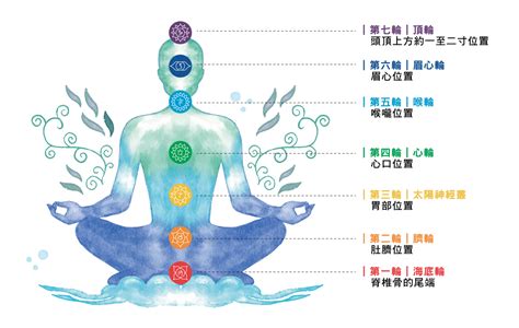 頂輪位置|頂輪｜位置、開啟徵兆、 失衡及過度活躍特